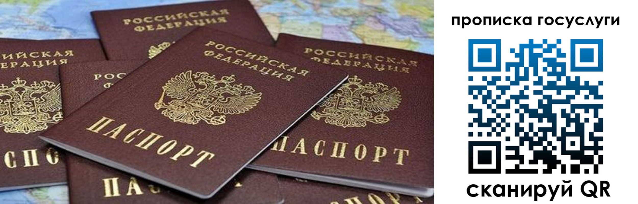 пропишу в квартире в Краснокаменске